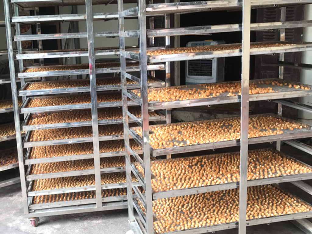 long-nhan-om-sen-tui-500g-2