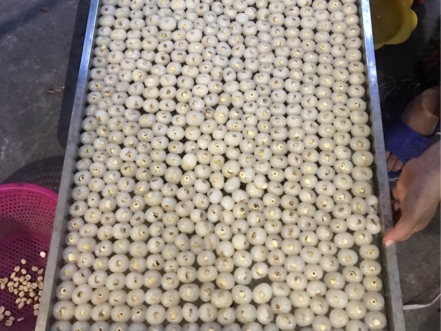 long-nhan-om-sen-tui-500g-3